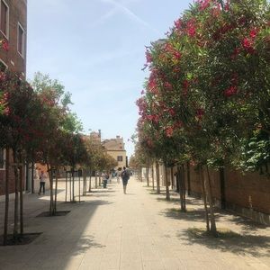 Meet your Posher, Veronica